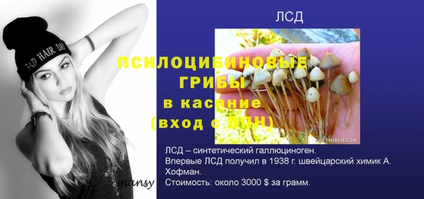 герыч Алзамай