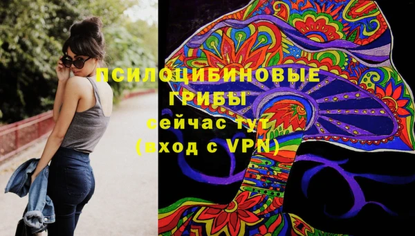 а пвп мука Абаза