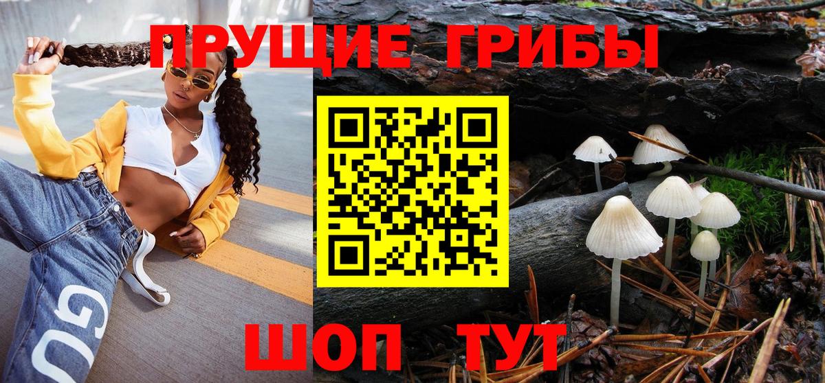 Псилоцибиновые грибы Psilocybe  Вход с VPN  как найти наркотики  Ишимбай 